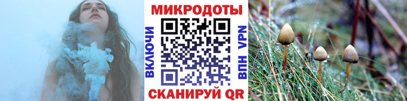 дарнет шоп  Бикин  Псилоцибиновые грибы Psilocybine cubensis 